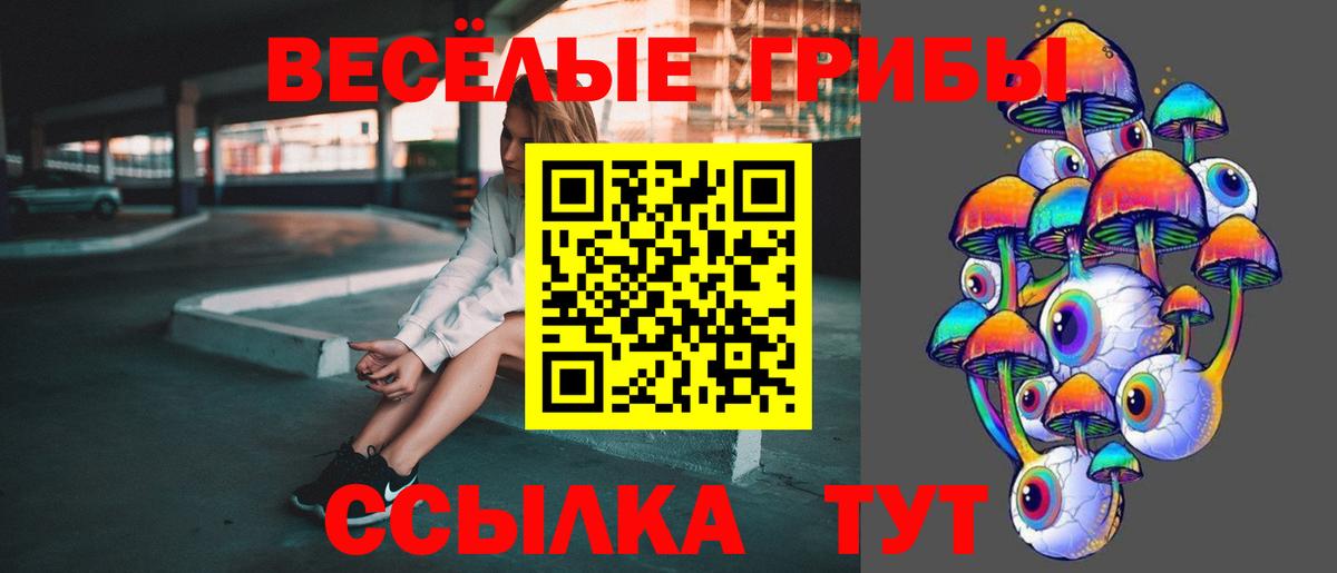 Темрюк  Псилоцибиновые грибы GOLDEN TEACHER  Галлюциногенные грибы GOLDEN TEACHER  Вход с VPN 